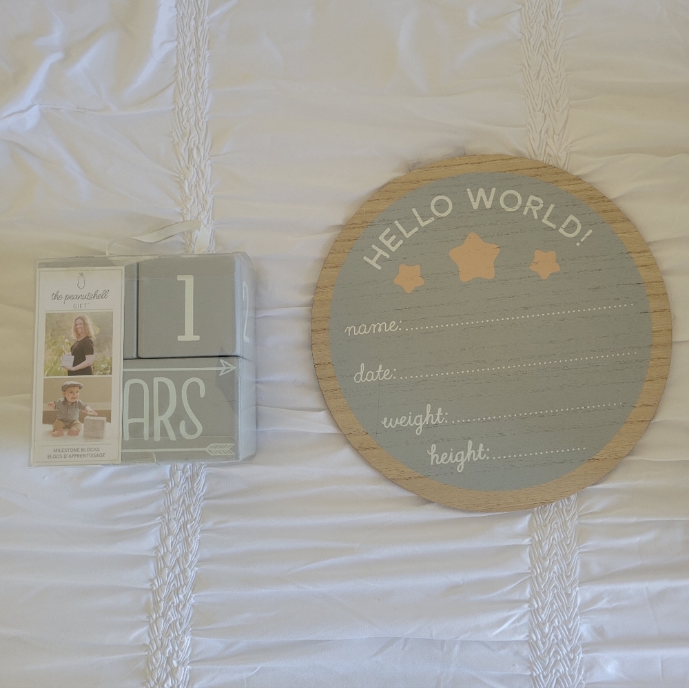 Baby Gray and Tan Milestone Blocks and Birth Sign Set